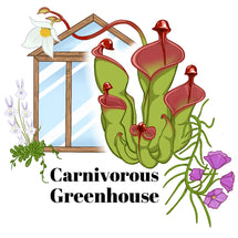 Carnivorous Greenhouse Plants