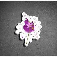 Drosera regia Flower Sticker at Carnivorous Greenhouse